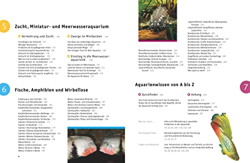 Aquarium, Das große GU Praxishandbuch - 3