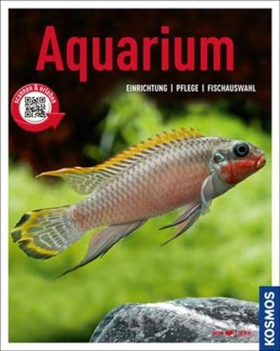 Aquarium: Einrichtung, Pflege, Fischauswahl (Mein Tier)