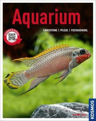 Aquarium: Einrichtung, Pflege, Fischauswahl