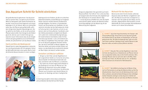 Aquarien – Spaß für Kinder: Spannende Unterwasserwelt (GU Tierratgeber) - 3