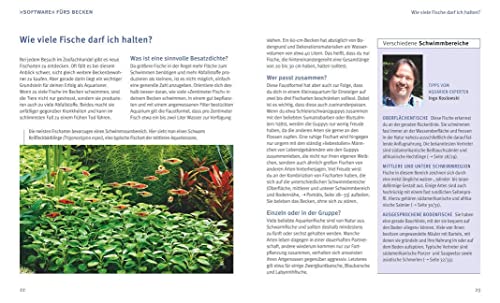 Aquarien – Spaß für Kinder: Spannende Unterwasserwelt (GU Tierratgeber) - 4