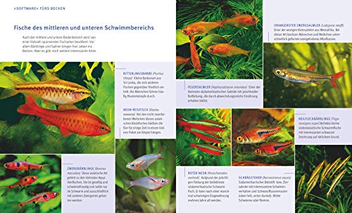Aquarien – Spaß für Kinder: Spannende Unterwasserwelt (GU Tierratgeber) - 6