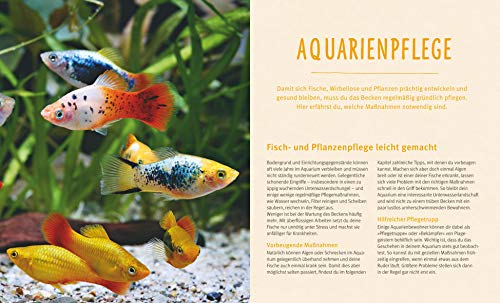 Aquarien – Spaß für Kinder: Spannende Unterwasserwelt (GU Tierratgeber) - 7