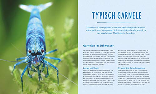 Süßwasser-Garnelen: Pflege-Einmaleins für filigrane Schönheiten (GU Tierratgeber) - 3