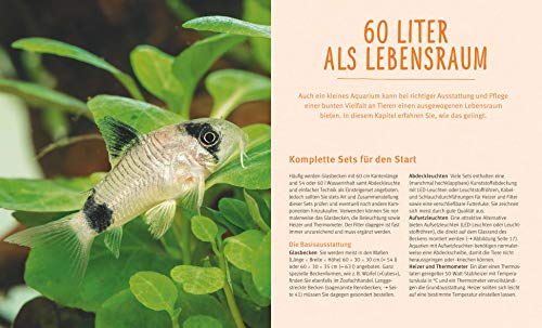 Kleine Aquarien: 60 Liter spannender Lebensraum (GU Tierratgeber) - 3