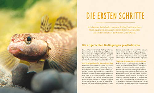 Nano-Aquarien: Wunderwelt im Mini-Format bis 35 Liter (GU Tierratgeber) - 3