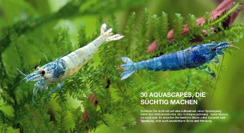 Aquascaping: Aquarienlandschaften gestalten (GU Tier Spezial) - 12