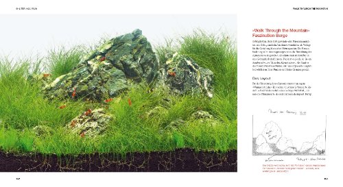 Aquascaping: Aquarienlandschaften gestalten (GU Tier Spezial) - 14