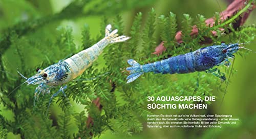 Aquascaping: Aquarienlandschaften gestalten (GU Tier Spezial) - 10