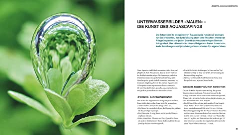 Aquascaping: Aquarienlandschaften gestalten (GU Tier Spezial) - 11