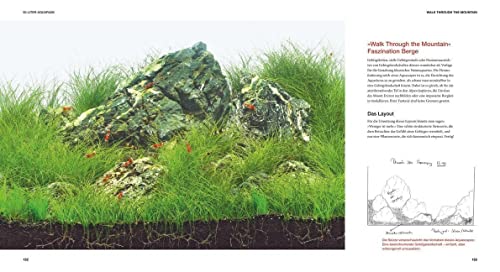 Aquascaping: Aquarienlandschaften gestalten (GU Tier Spezial) - 7