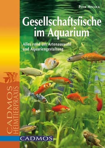 Gesellschaftsfische im Aquarium: Alles rund um Artenauswahl und Aquariengestaltung (Cadmos Aquaristik)