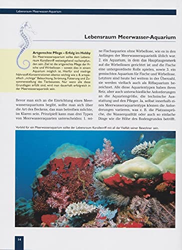 Das Meerwasseraquarium: Von der Planung bis zur erfolgreichen Pflege (NTV Meerwasseraquaristik) - 5