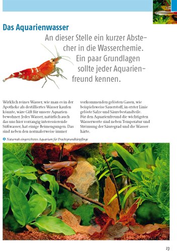 Kleine Aquarien: Extra: Nano-Aquarien - 13