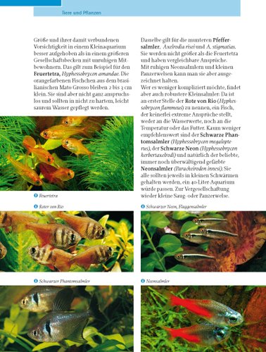 Kleine Aquarien: Extra: Nano-Aquarien - 16