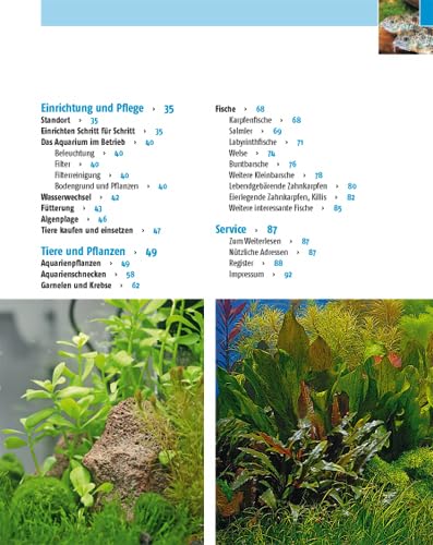 Kleine Aquarien: Extra: Nano-Aquarien - 9