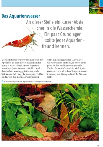 Kleine Aquarien: Extra: Nano-Aquarien - 3