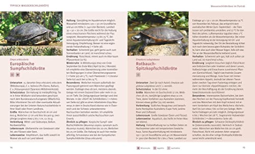Wasserschildkröten: Wohlfühl-Basics für urtümliche Riesen (GU Tierratgeber) - 5