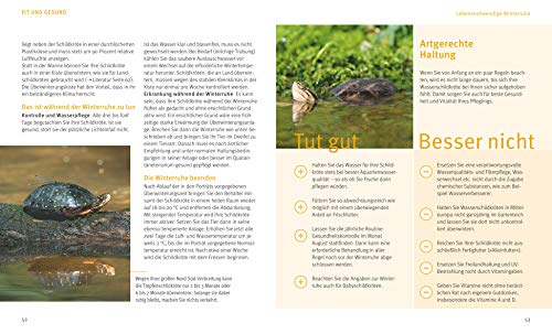 Wasserschildkröten: Wohlfühl-Basics für urtümliche Riesen (GU Tierratgeber) - 6