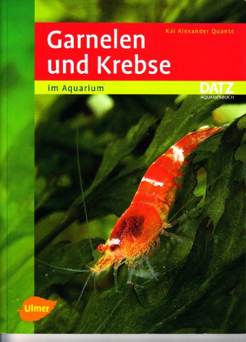 Garnelen und Krebse im Aquarium
