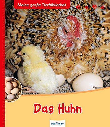 Das Huhn: Bilderbuch (Meine große Tierbibliothek)