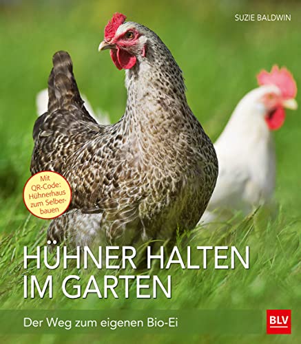 Hühner halten im Garten: Der Weg zum eigenen Bio-Ei