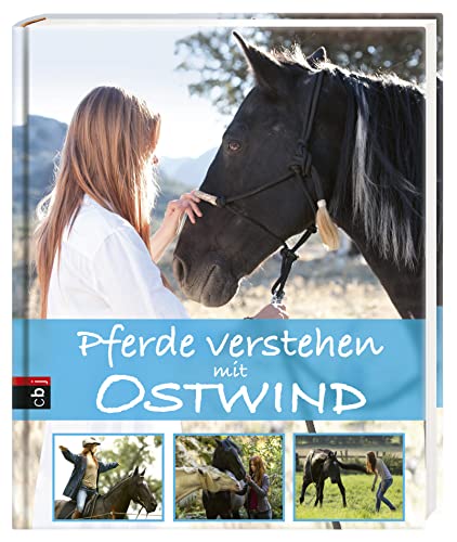 Pferde verstehen mit Ostwind - 2