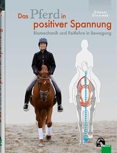 pferd-positive-spannung