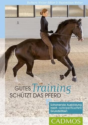 gutes-training-schuetzt-das-pferd
