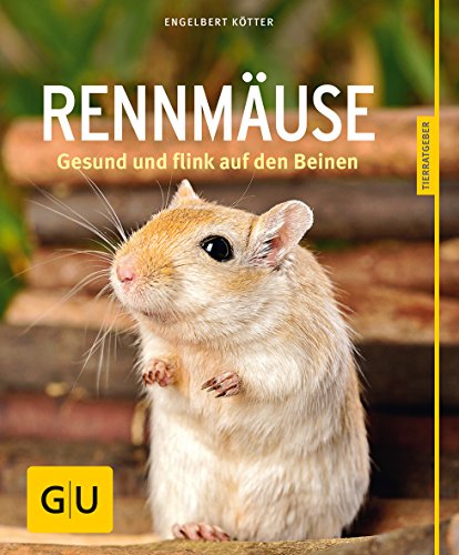 Rennmäuse gesund und flink