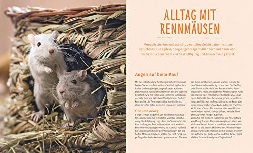 Rennmäuse: Gesund und flink auf den Beinen (GU Tierratgeber) - 4