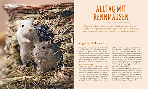 Rennmäuse: Gesund und flink auf den Beinen (GU Tierratgeber) - 7