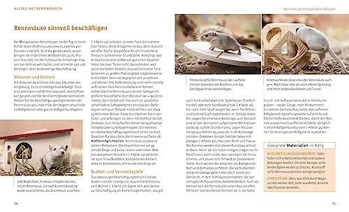 Rennmäuse: Gesund und flink auf den Beinen (GU Tierratgeber) - 8