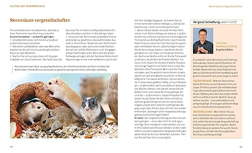 Rennmäuse: Gesund und flink auf den Beinen (GU Tierratgeber) - 9