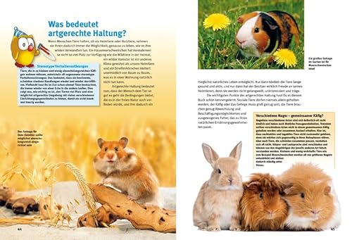 Entdecke die Nagetiere: Hamster, Meerschweinchen & Co. (Entdecke – Die Reihe mit der Eule / Kindersachbuchreihe) - 4
