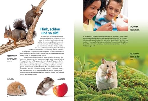 Entdecke die Nagetiere: Hamster, Meerschweinchen & Co. (Entdecke – Die Reihe mit der Eule / Kindersachbuchreihe) - 6