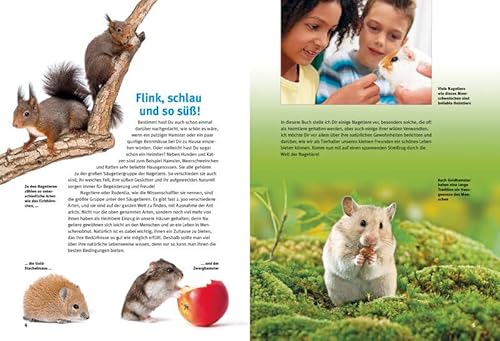 Entdecke die Nagetiere: Hamster, Meerschweinchen & Co. (Entdecke – Die Reihe mit der Eule / Kindersachbuchreihe) - 6