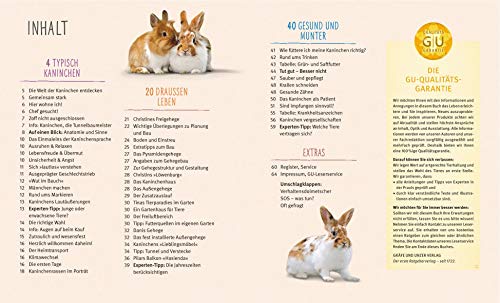 Kaninchen im Außengehege: Pures Frischluft-Vergnügen - 3