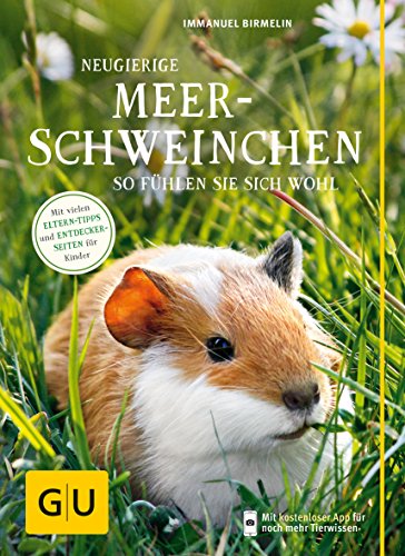Neugierige Meerschweinchen: So fühlen sie sich wohl