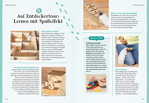Neugierige Meerschweinchen: So fühlen sie sich wohl. Mit vielen Eltern-Tipps und Entdecker-Seiten für Kinder (GU Mein Heimtier) - 12