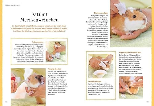 Neugierige Meerschweinchen: So fühlen sie sich wohl. Mit vielen Eltern-Tipps und Entdecker-Seiten für Kinder (GU Mein Heimtier) - 13
