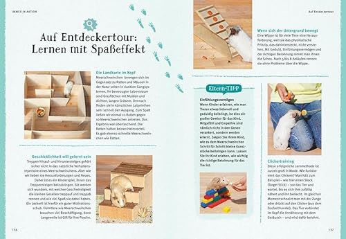 Neugierige Meerschweinchen: So fühlen sie sich wohl. Mit vielen Eltern-Tipps und Entdecker-Seiten für Kinder (GU Mein Heimtier) - 14