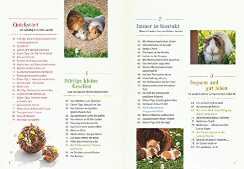 Neugierige Meerschweinchen: So fühlen sie sich wohl. Mit vielen Eltern-Tipps und Entdecker-Seiten für Kinder (GU Mein Heimtier) - 3