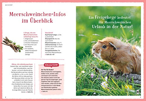Neugierige Meerschweinchen: So fühlen sie sich wohl. Mit vielen Eltern-Tipps und Entdecker-Seiten für Kinder (GU Mein Heimtier) - 5