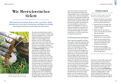 Neugierige Meerschweinchen: So fühlen sie sich wohl. Mit vielen Eltern-Tipps und Entdecker-Seiten für Kinder (GU Mein Heimtier) - 8