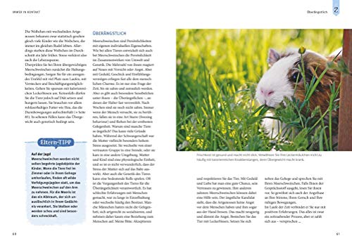 Neugierige Meerschweinchen: So fühlen sie sich wohl. Mit vielen Eltern-Tipps und Entdecker-Seiten für Kinder (GU Mein Heimtier) - 9