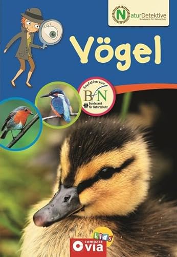Naturdetektive: Vögel: Wissen und Beschäftigung für kleine Naturforscher ab 6 Jahren