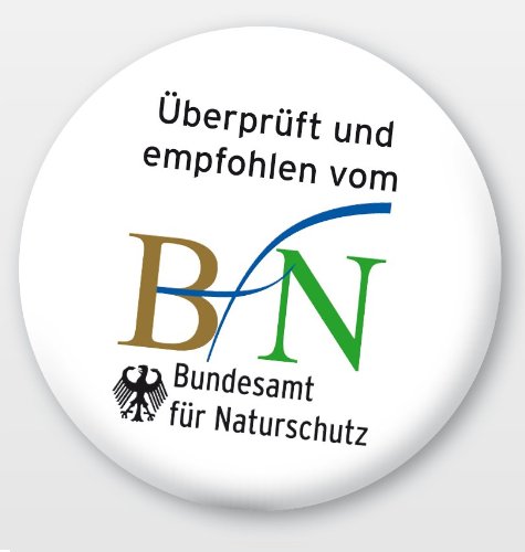 Naturdetektive: Vögel: Wissen und Beschäftigung für kleine Naturforscher ab 6 Jahren - 2