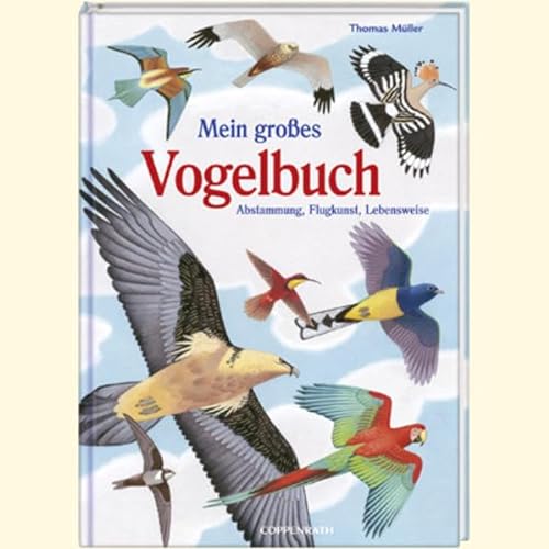 Mein großes Vogelbuch: Abstammung, Flugkunst, Lebensweise