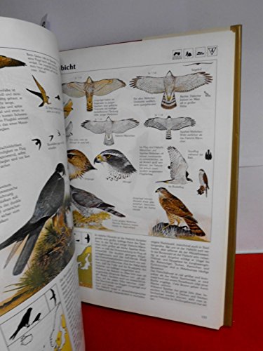 Das goldene Kosmos Vogelbuch. Europas Vögel – bestimmen, verstehen, schützen - 3